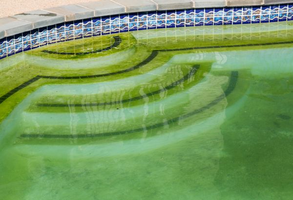 Pool Deck Algae Removal in Ooltewah