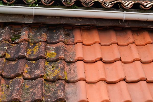 Industrial Roof Cleaning in Ooltewah
